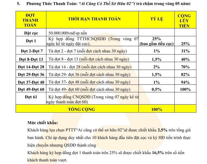 chính sách và phương thức thanh toán đức hòa new city