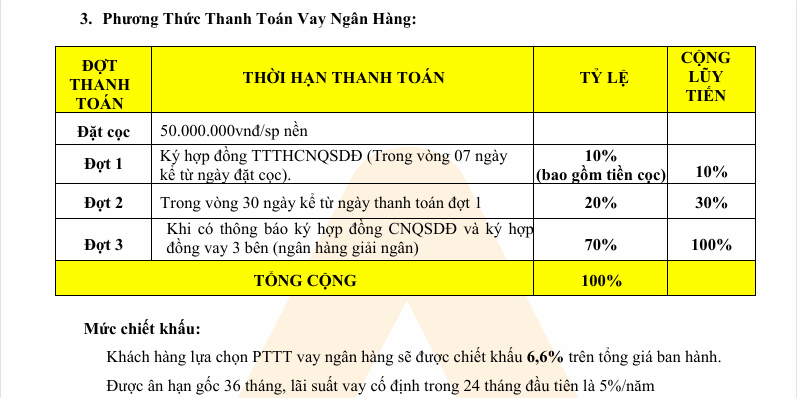 chính sách và phương thức thanh toán đức hòa new city